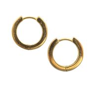 A pair of hoop earrings