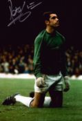 Peter Shilton signed England vintage colour 12x8 colour photo. Good condition (. Good condition