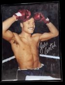 John Conteh signed 16x12 inch framed colour photo. Good condition Est.