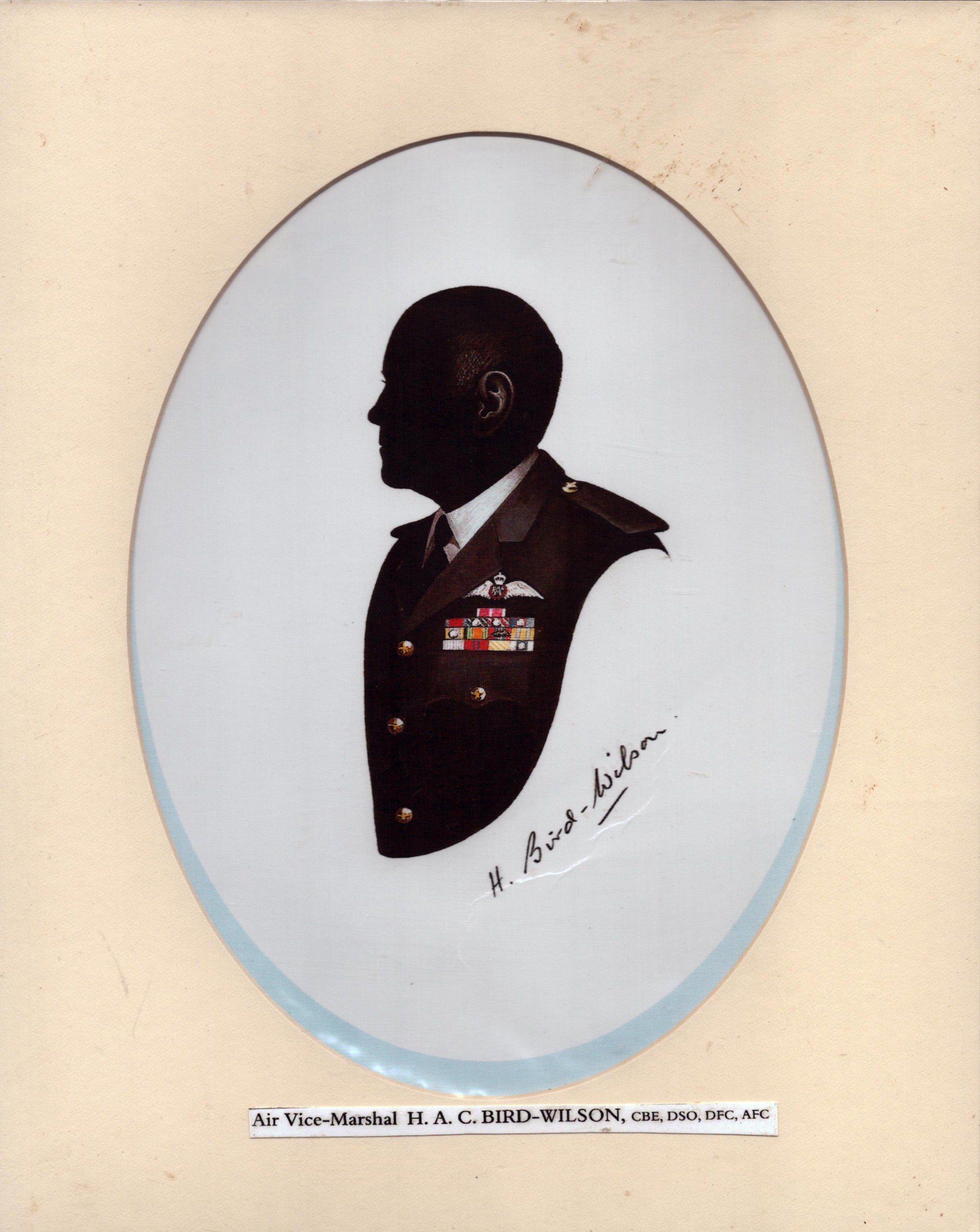 Air Vice Marshal Harold Arthur Cooper "Birdie" Bird-Wilson, CBE, DSO, DFC & Bar, AFC and Bar