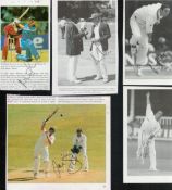 Cricket collection of 7 signed magazine cut outs signatures such as Andy Flower, Nick Knight, Ed