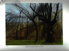 Neal Vaughan signed limited edition 2/50 Epson enhanced Matte print Titled Beddington Park, print