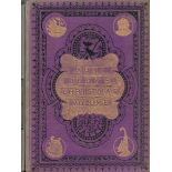 Aunt Judy's Christmas Volume for 1877, Includes numerous illustrations by W. L. Jones, F. Gilbert