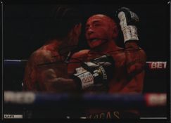 Fernando Vargas signed colour photo. Mounted and framed, measures 12x8 inch appx. Frame glass