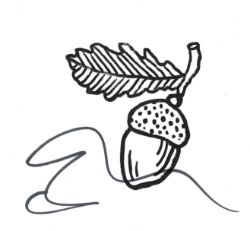 TIMED Autograph auction Football, TV/Film, Military, Historic photos, covers