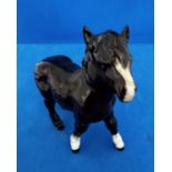 Beswick Royal Doulton Shetland Horse Figurine Foal. Vintage Beswick. 5 inch tall appx. Good