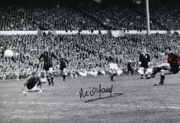 Autographed NEIL YOUNG 12 x 8 photo : Colorized, depicting Manchester City centre-forward NEIL YOUNG