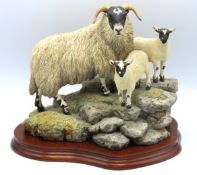 A limited edition Border Fine Arts 'A Ewe and a Pa