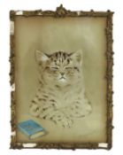 Louis Wain (1860-1939), a framed watercolour of a