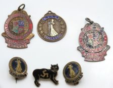 A vintage Isle of Man black Manx cat badge twinned