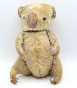 A Victorian/Edwardian antique stuffed leather Koal