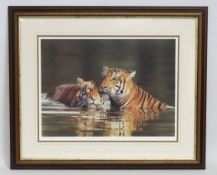 A framed Steven Townsend signed limited edition 31