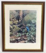 A framed Steven Townsend signed limited edition 31