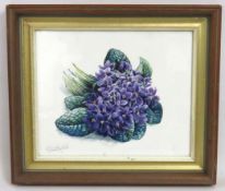 A framed watercolour floral still life by Stuart A