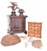 NATURAL HISTORY / CURIOS - SELECTION OF FUNGI AND FOSSILS