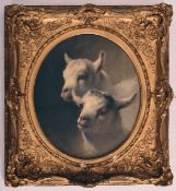 BELIEVED THOMAS WILLIAM EARL - 19TH CENTURY TWO KID GOATS OIL ON BOARD PAINTING