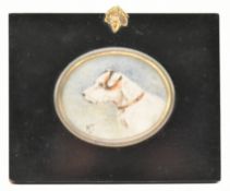 EDWARDIAN CIRCA 1902 MINIATURE PORTRAIT ON IVORY OF TERRIER DOG