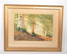 GABRIEL BLAIR (1862 - 1932) - LATE 19TH CENTURY WOODLAND WATERCOLOUR