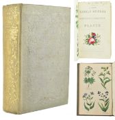 BOTANY. C1850 A NEW FAMILY HERBAL BY RICHARD BROOK ORIG. DECORATIVE CLOTH BINDING