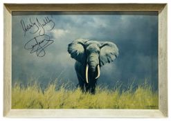 ONLY FOOLS & HORSES - DAVID JASON SIGNED ELEPHANT PICTURE PROP