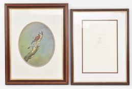 DAVID KERR - A SIGNED ORNITHOLOGICAL BIRD STUDY ETCHING & DRAWING