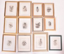 ORNITHOLOGICAL INTEREST. TWENTY FIVE PLATES FROM THE BRITISH WARBLERS