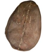 VINTAGE 20TH CENTURY AFRICAN MASSAI HIDE HUNTING SHIELD