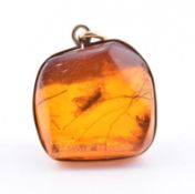 14CT GOLD & AMBER NECKLACE PENDANT WITH INSECT INCLUSION