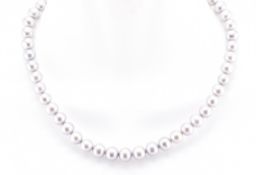 SILVER & FRESHWATER PEARL NECKLACE
