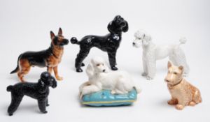 COLLECTION OF 20TH CENTURY PORCELAIN DOG FIGURINES