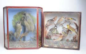 TWO VINTAGE EARLY 20TH CENTURY GLAZED CASES CONTAINING TAXIDERMY