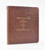 ORNITHOLOGY. C1930 THE WILD DUCKS AND VARIOUS OF EGYPT