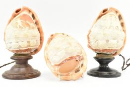 THREE VICTORIAN 19TH CENTURY CAMEO CONCH SHELLS DESK LAMPS