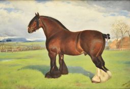 FRANK BABBAGE (1858-1916) - ENGLISH SHIRE HORSE CIRCA 1897 OIL ON BOARD