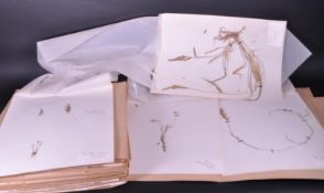 LARGE COLLECTION OF DRIED FLORAL SPECIMEN EXAMPLES