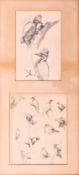 DAVID M. REID-HENRY - TWO ORNITHOLOGICAL PENCIL DRAWINGS
