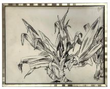 ROBIN SYMES (1939-2023) - UNTITLED STILL LIFE OF HOUSE PLANT