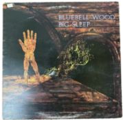 BLUEBELL WOOD - BIG SLEEP - VINYL RECORD ALBUM