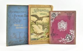 CHILDREN'S ILLUSTRATED. THREE 19TH CENTURY WORKS WITH COLOUR PLATES