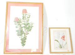 CELIA ROSSER 1974 - TWO WATERCOLOURS BOTANICAL PRINTS