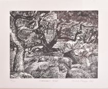 HOWARD PHIPPS (B. 1954) - WHITMAN'S WOOD - 1987 PRINT OF WOODCUT ENGRAVING