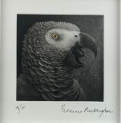 TERENCE MILLINGTON (B. 1943) - SIGNED ARTIST'S PROOF PRINT OF AFRICAN GREY PARROT
