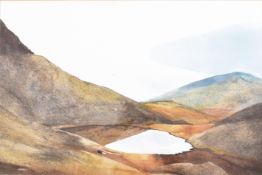 LIZ CLEVES (BRITISH) - POOL OF LIGHT