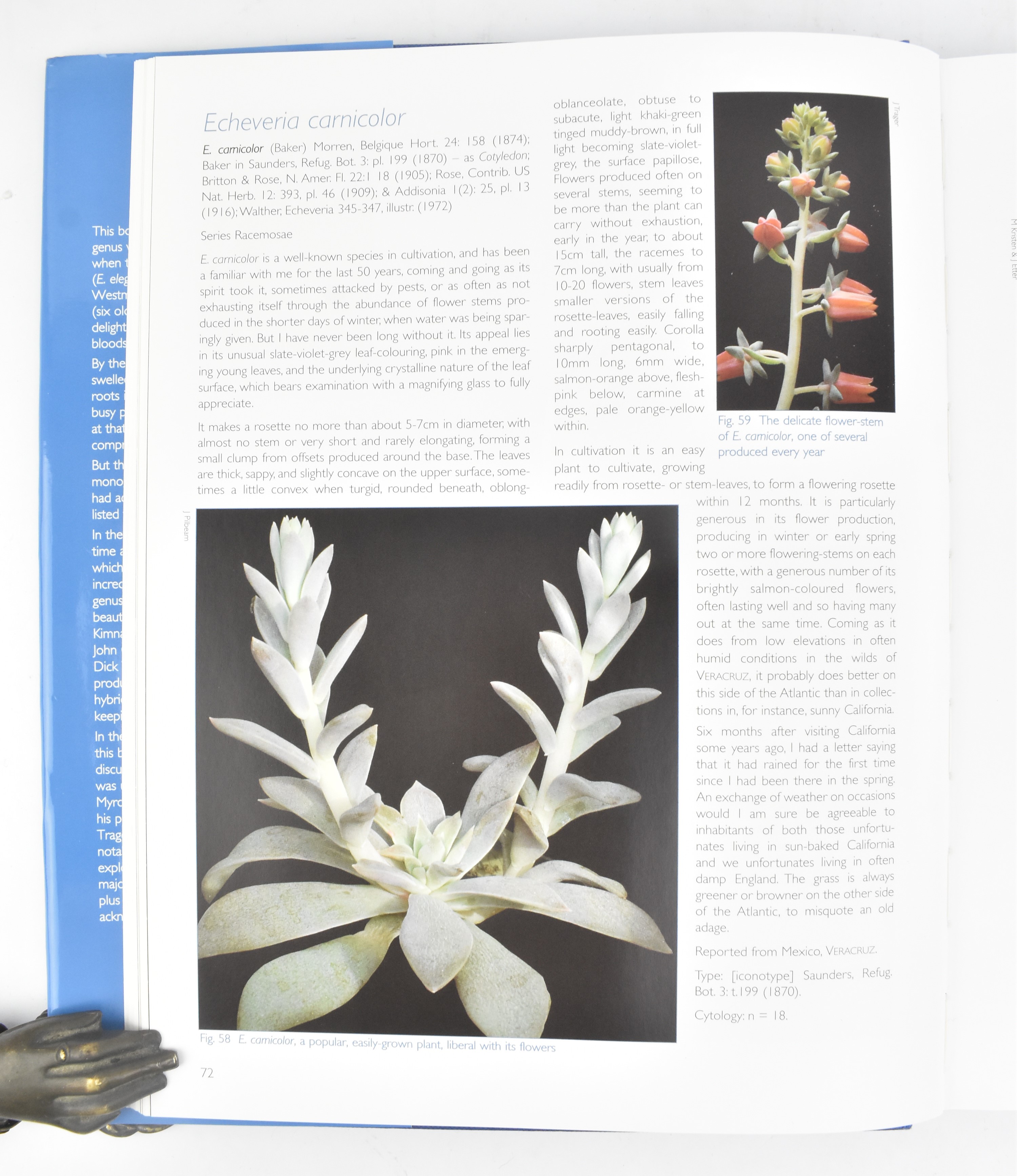 BOTANY. COLLECTION OF SIX SPECIALIST SUCCULENT PLANT BOOKS - Image 12 of 12
