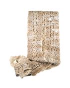 NATURAL HISTORY INTEREST - COLLECTION OF THREE SHED SNAKESKINS