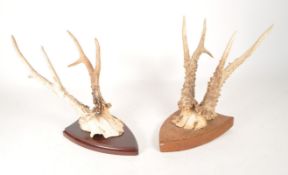 NATURAL HISTORY - TWO 20TH CENTURY ANTLERS ON ARMONICAL SHIELDS