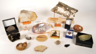 NATURAL HISTORY - COLLECTION OF FOSSILS, GEMSTONES AND GEODES
