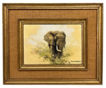 DAVID SHEPHERD (1931-2017) - ELEPHANT STUDY - OIL ON CANVAS WITH ORIGINAL INVOICE