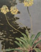 LORD PAUL AYSHFORD METHUEN (1886-1974) - PRIMULA - OIL ON CANVAS STILL LIFE