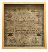 VICTORIAN 19TH CENTURY 1884 SAMPLER BY ELIZABETH SPOONER AGED 8